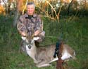 9 point deer