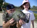 Staterecordbluegill